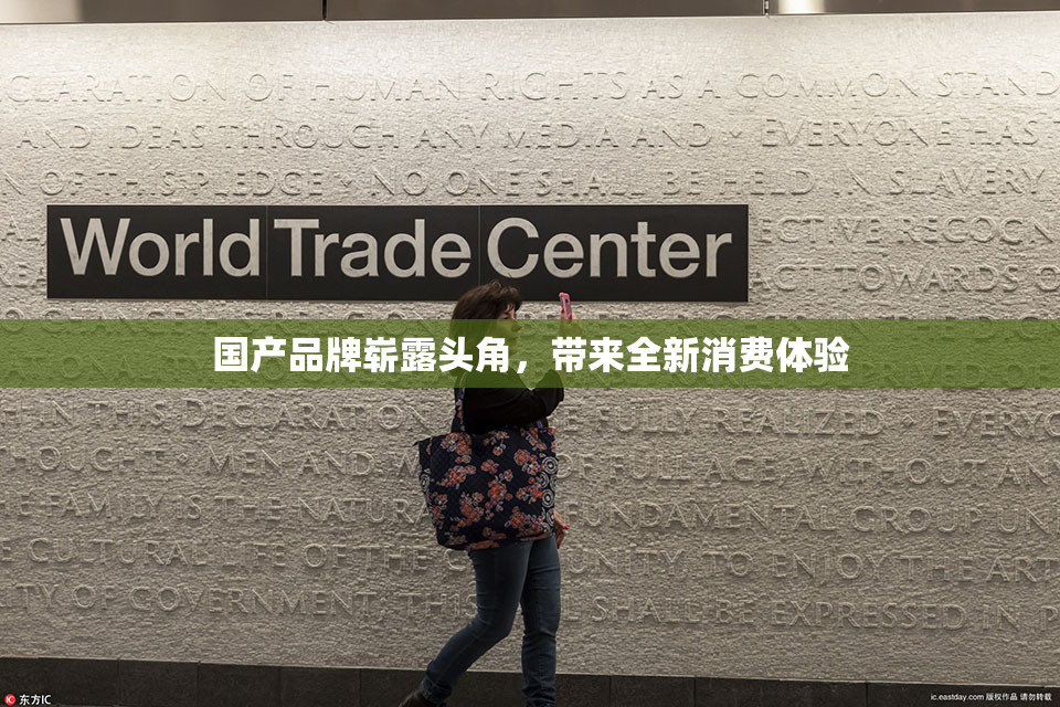 国产品牌崭露头角，带来全新消费体验