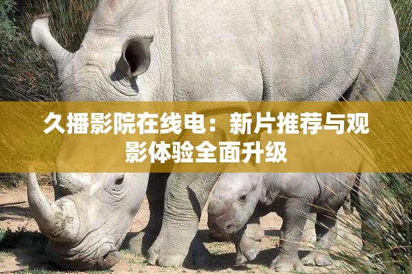 久播影院在线电：新片推荐与观影体验全面升级