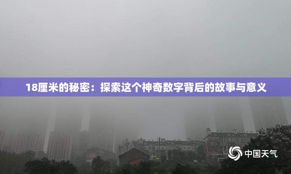 18厘米的秘密：探索这个神奇数字背后的故事与意义