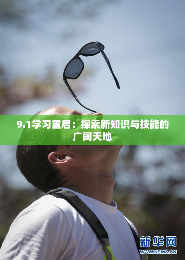 9.1学习重启：探索新知识与技能的广阔天地