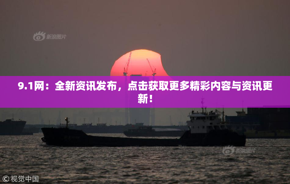 9.1网：全新资讯发布，点击获取更多精彩内容与资讯更新！