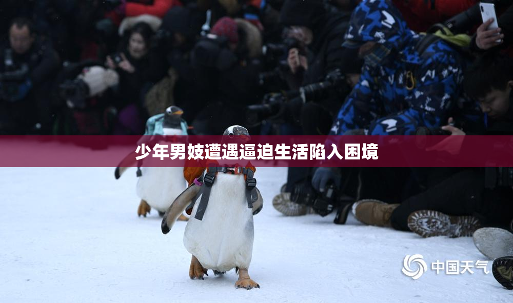 少年男妓遭遇逼迫生活陷入困境