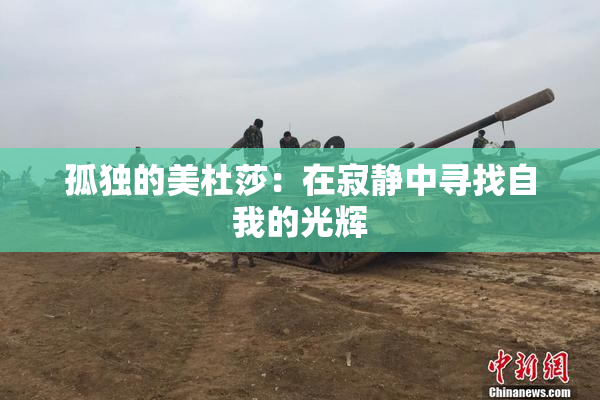 孤独的美杜莎：在寂静中寻找自我的光辉