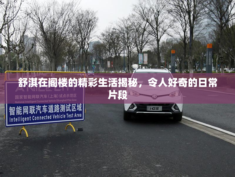 舒淇在阁楼的精彩生活揭秘，令人好奇的日常片段