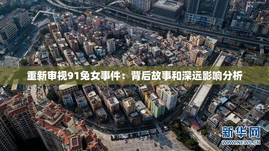 重新审视91兔女事件：背后故事和深远影响分析