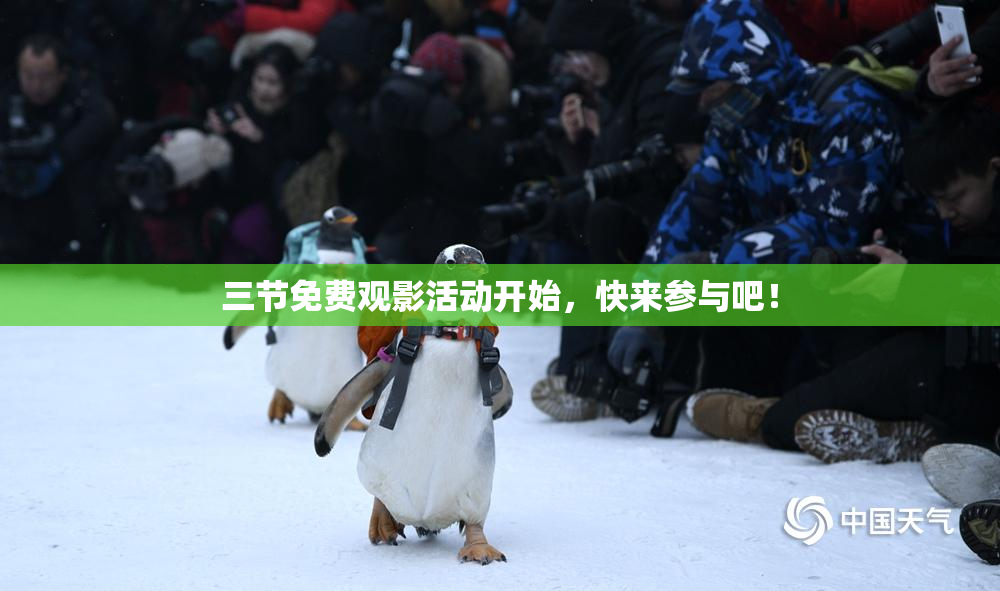 三节免费观影活动开始，快来参与吧！