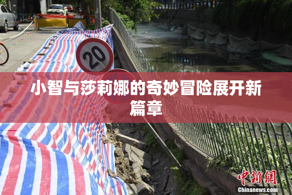小智与莎莉娜的奇妙冒险展开新篇章