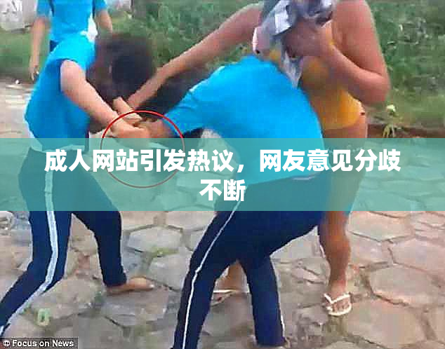 成人网站引发热议，网友意见分歧不断