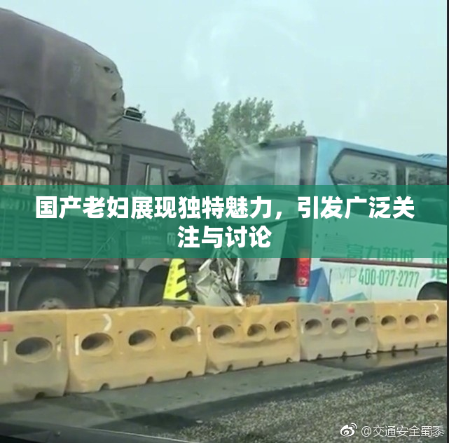 国产老妇展现独特魅力，引发广泛关注与讨论