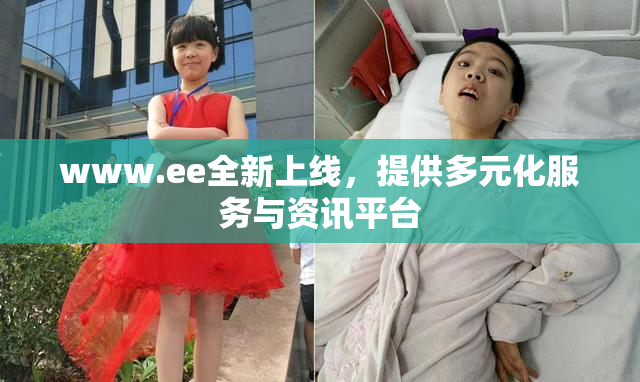 www.ee全新上线，提供多元化服务与资讯平台
