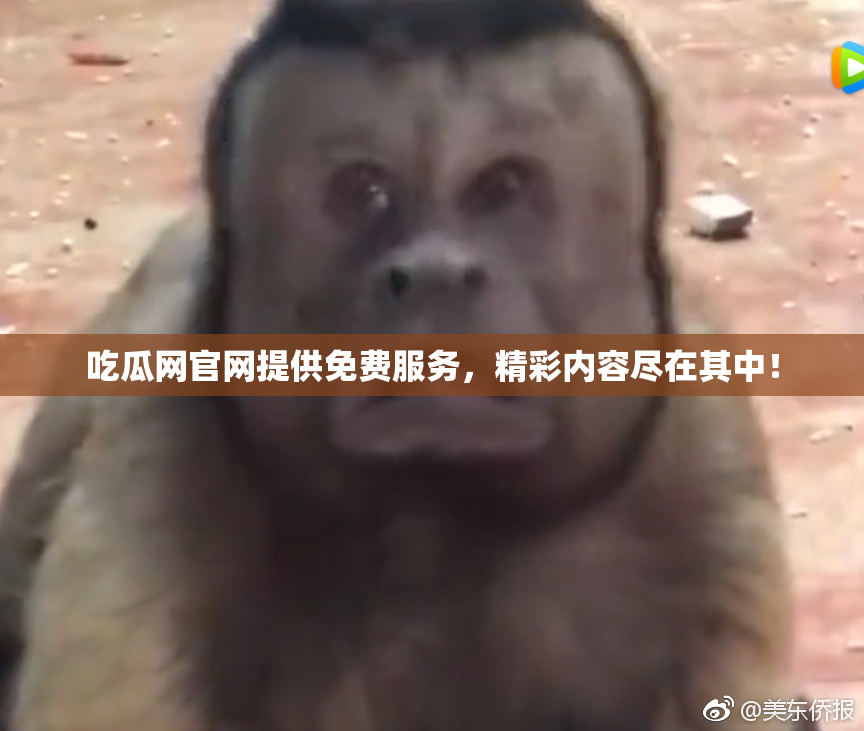 吃瓜网官网提供免费服务，精彩内容尽在其中！