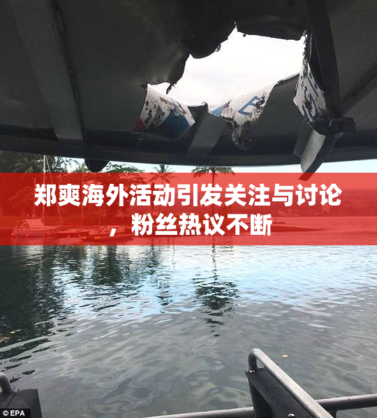 郑爽海外活动引发关注与讨论，粉丝热议不断