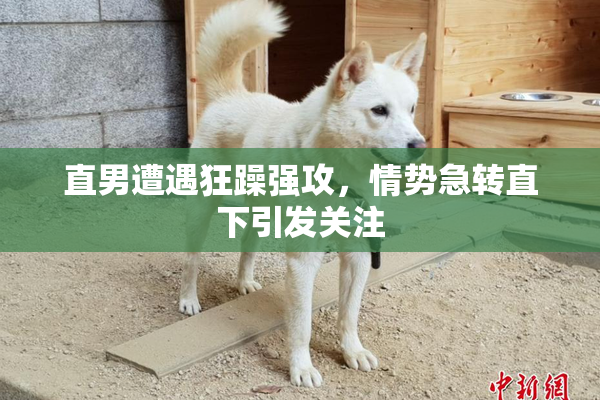直男遭遇狂躁强攻，情势急转直下引发关注
