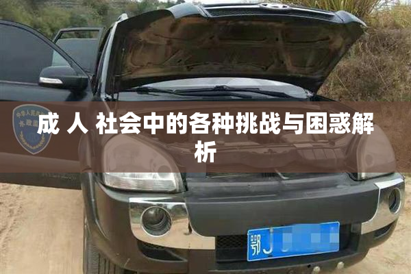 成 人 社会中的各种挑战与困惑解析