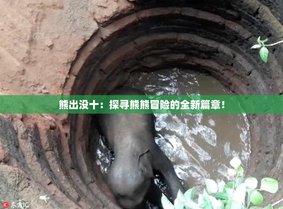 熊出没十：探寻熊熊冒险的全新篇章！