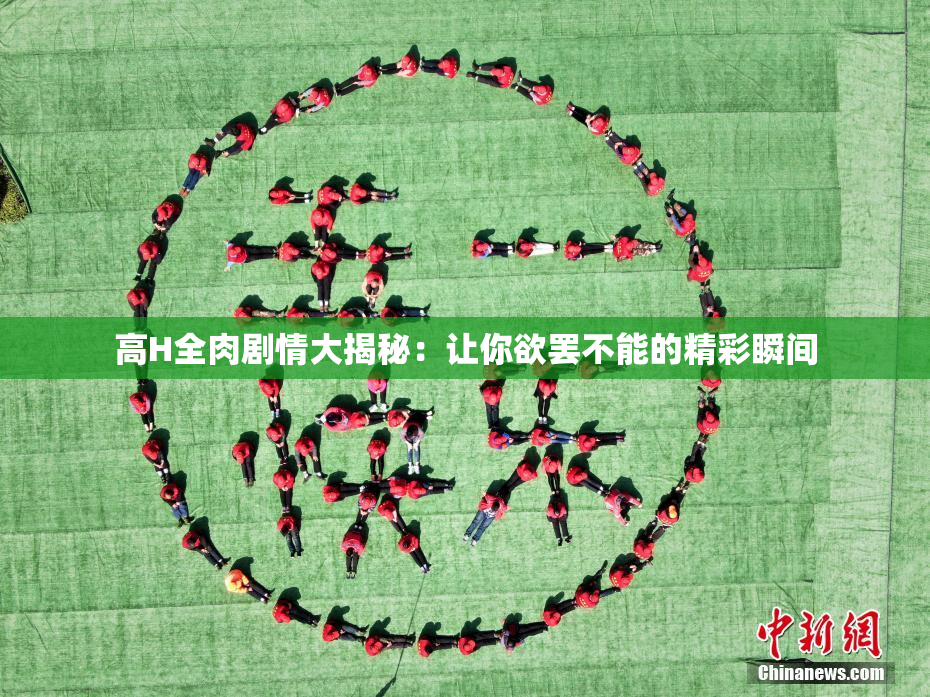 高H全肉剧情大揭秘：让你欲罢不能的精彩瞬间