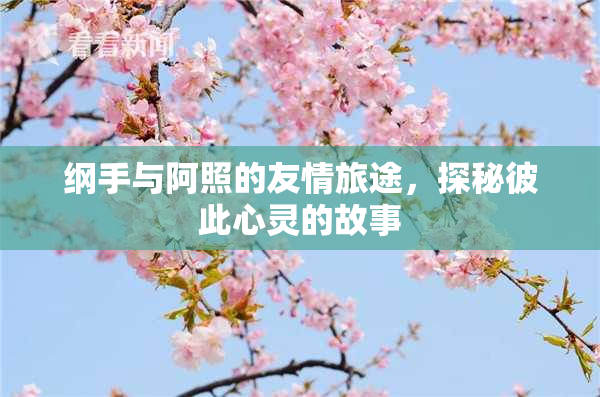 纲手与阿照的友情旅途，探秘彼此心灵的故事