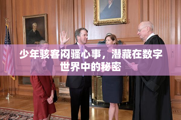 少年骇客闷骚心事，潜藏在数字世界中的秘密