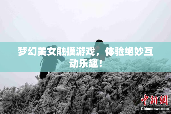 梦幻美女触摸游戏，体验绝妙互动乐趣！
