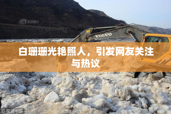 白珊珊光艳照人，引发网友关注与热议