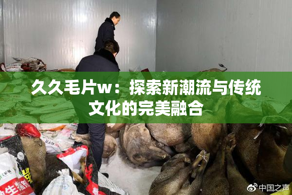 久久毛片w：探索新潮流与传统文化的完美融合