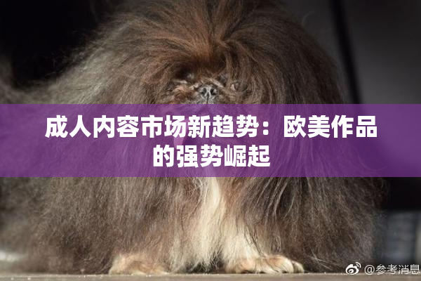 成人内容市场新趋势：欧美作品的强势崛起