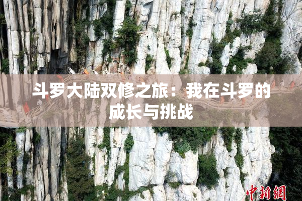 斗罗大陆双修之旅：我在斗罗的成长与挑战
