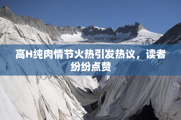 高H纯肉情节火热引发热议，读者纷纷点赞