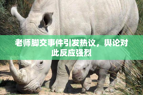 老师脚交事件引发热议，舆论对此反应强烈