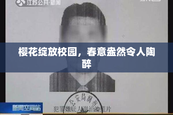 樱花绽放校园，春意盎然令人陶醉