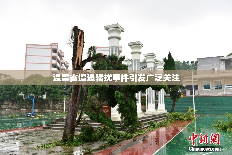 温碧霞遭遇骚扰事件引发广泛关注