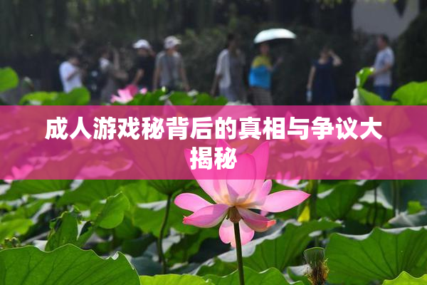 成人游戏秘背后的真相与争议大揭秘