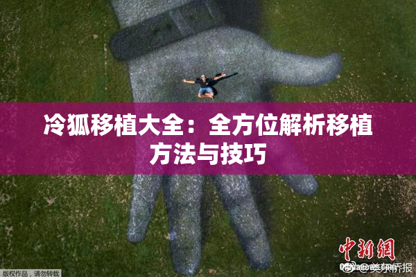 冷狐移植大全：全方位解析移植方法与技巧