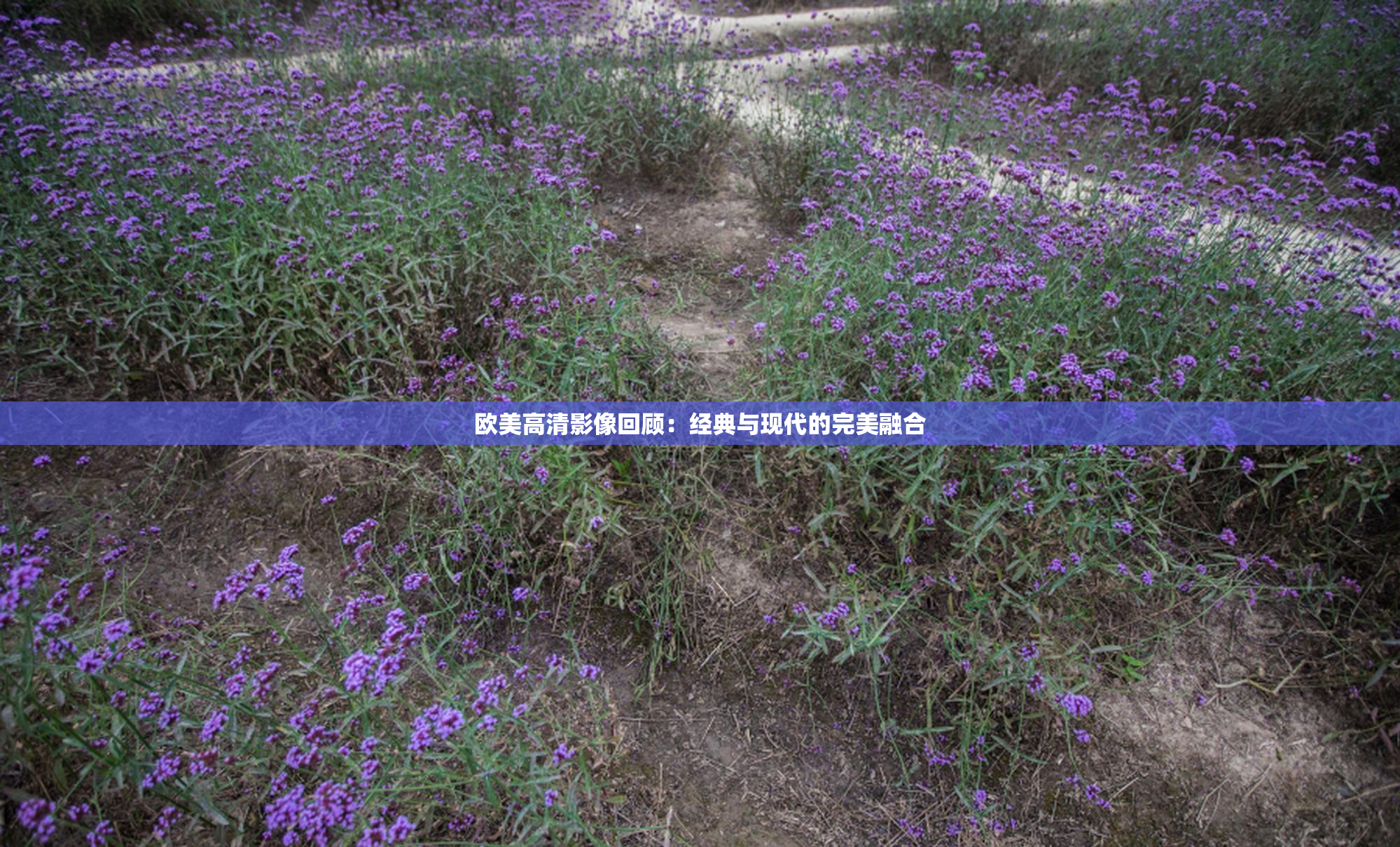 欧美高清影像回顾：经典与现代的完美融合