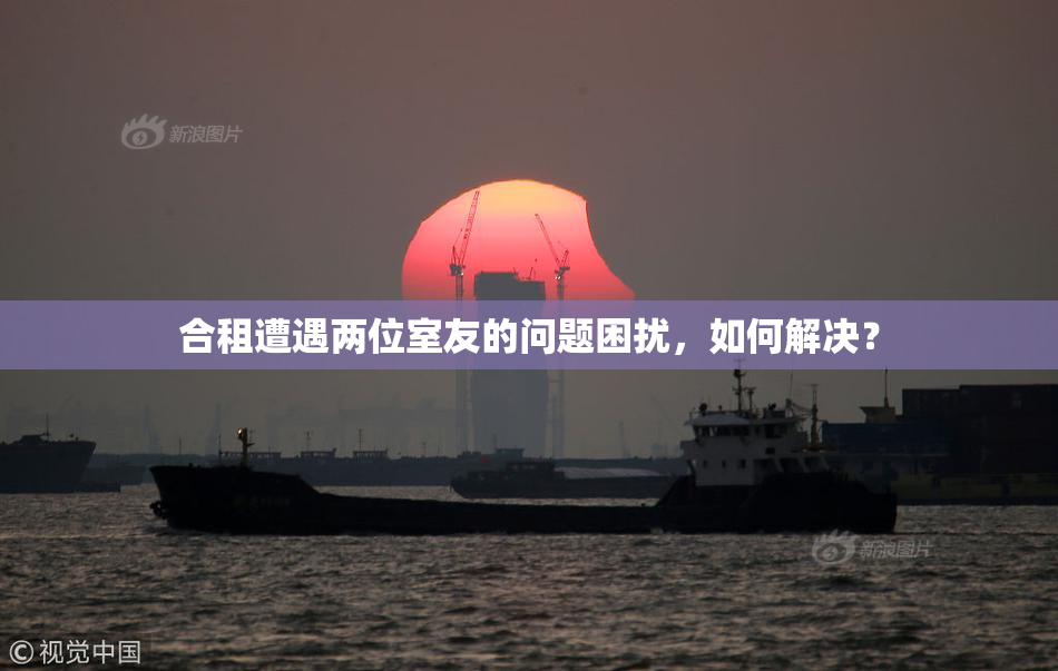 合租遭遇两位室友的问题困扰，如何解决？