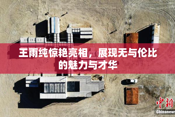 王雨纯惊艳亮相，展现无与伦比的魅力与才华