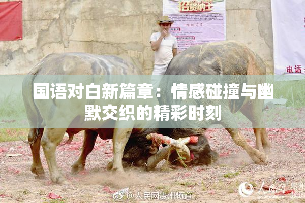 国语对白新篇章：情感碰撞与幽默交织的精彩时刻