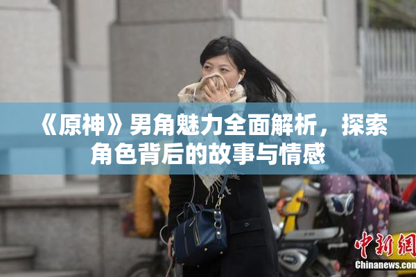 《原神》男角魅力全面解析，探索角色背后的故事与情感