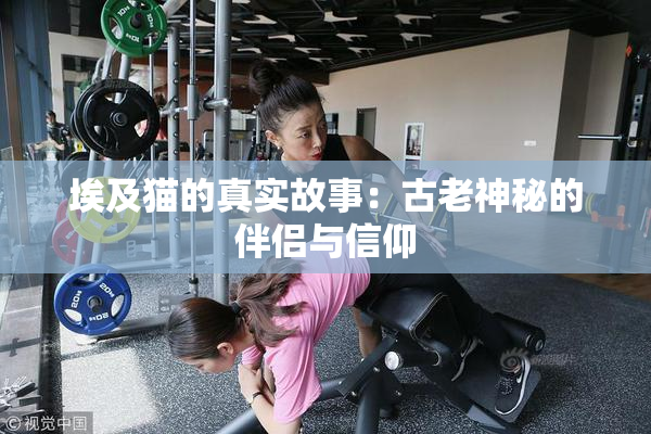 埃及猫的真实故事：古老神秘的伴侣与信仰