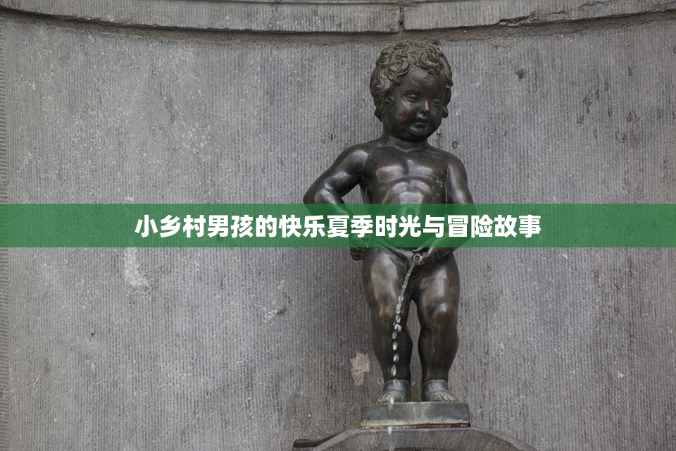 小乡村男孩的快乐夏季时光与冒险故事