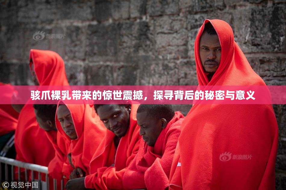 骇爪裸乳带来的惊世震撼，探寻背后的秘密与意义