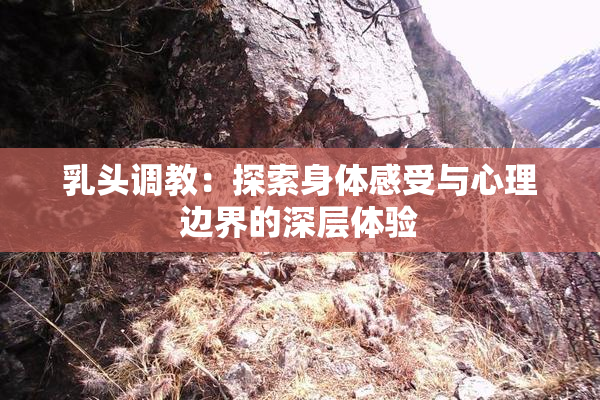 乳头调教：探索身体感受与心理边界的深层体验