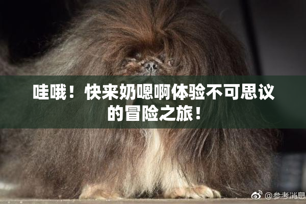 哇哦！快来奶嗯啊体验不可思议的冒险之旅！