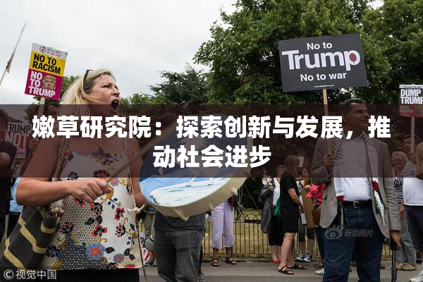 嫩草研究院：探索创新与发展，推动社会进步