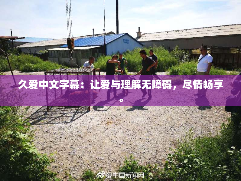 久爱中文字幕：让爱与理解无障碍，尽情畅享。