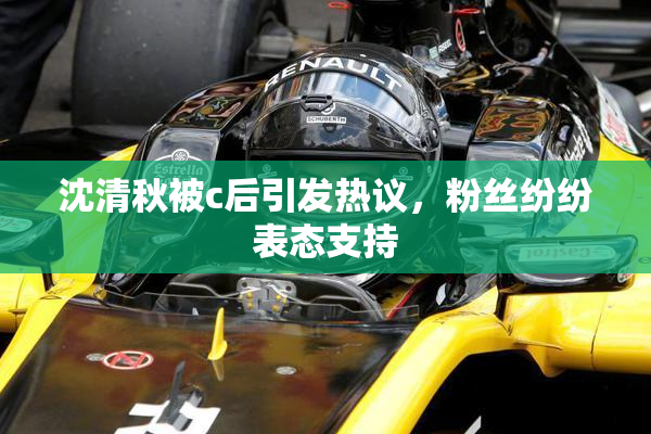 沈清秋被c后引发热议，粉丝纷纷表态支持
