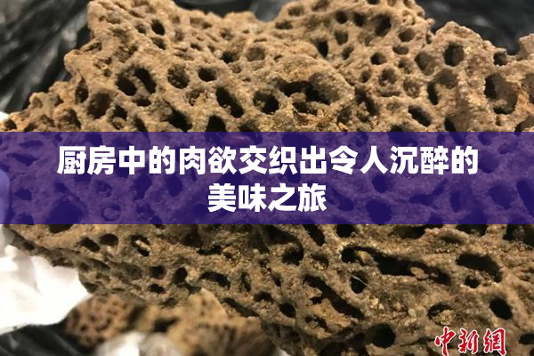 厨房中的肉欲交织出令人沉醉的美味之旅