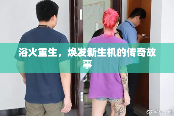 浴火重生，焕发新生机的传奇故事