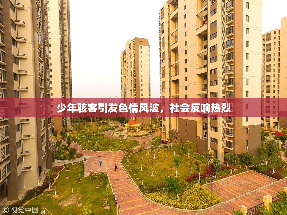 少年骇客引发色情风波，社会反响热烈