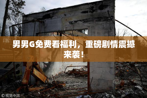 男男G免费看福利，重磅剧情震撼来袭！